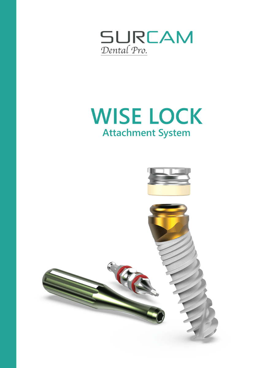 Wise lock catalog
